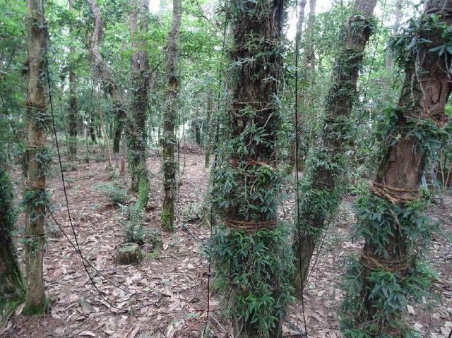 农村创业项目图纸(12个适合农村创业的小本项目)