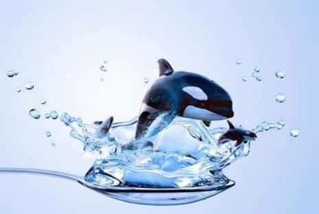 鸿运当头创业项目(三属相衣食无忧 鸿运当头 年初开始大富大贵赚大钱)