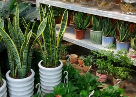 大学内创业项目(大学生创业项目有哪些项目？)