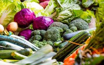 芹菜有机菌肥创业项目(有机蔬菜创业故事)