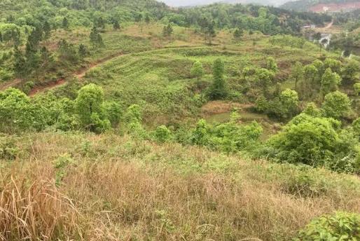 山上的创业项目(6个农村创业好项目)