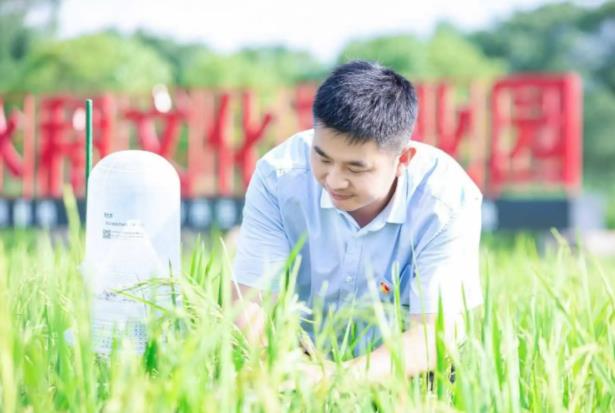 引进创业项目(大学生环保节能创业项目)