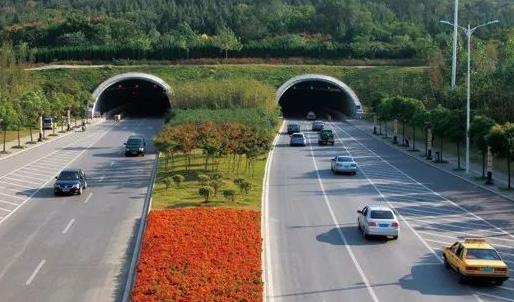 淮南创业项目(安徽淮南硕士王磊磊养殖山鸡创业致富)