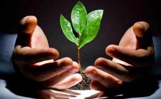 创业项目失败后果(如果创业失败了会是什么后果？)