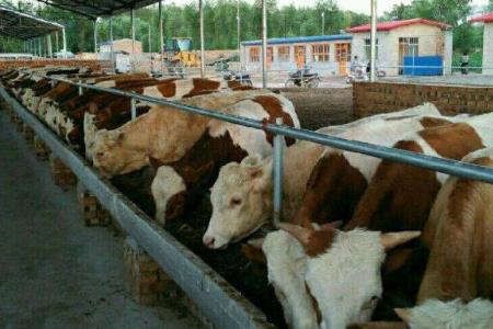 联合办厂创业项目(适合农村开办的10个加工厂项目，农村创业小型加工厂有哪些)