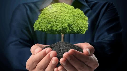 创业项目心得(关于大学生创业的心得5篇)