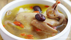 养殖鸽子创业项目(养鸽子怎么样，投资大吗？)