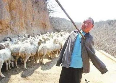 独臂少年创业项目(独臂独腿男子养120头羊，年入10万，该如何看待这样的人生呢？)