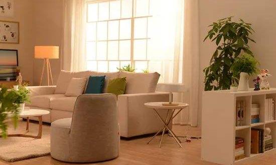 环保创业项目有哪些(环保项目有哪些)