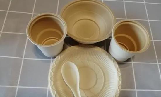 环保创业项目有哪些(环保项目有哪些)