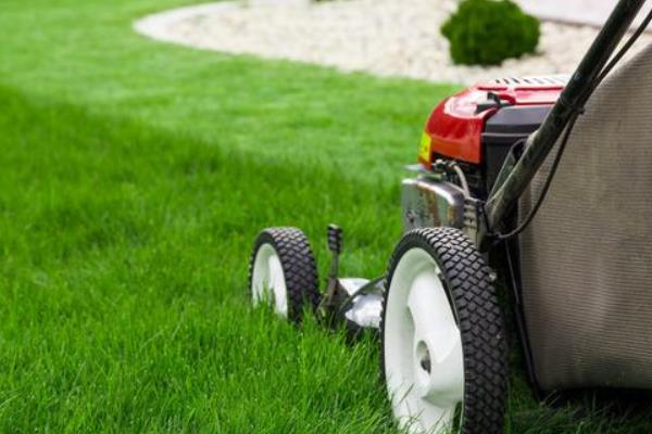 小本办厂创业项目(小型投资办厂项目有哪些？)