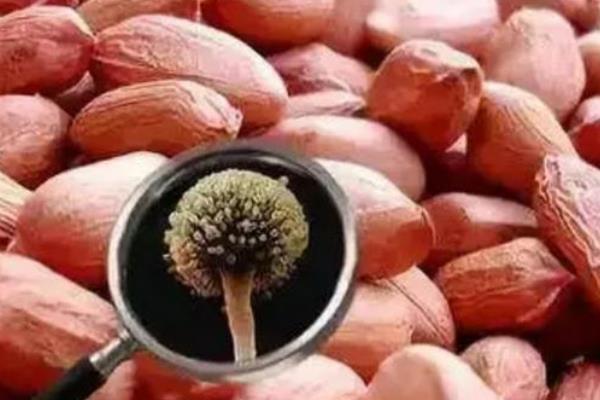 潮州家庭创业项目(适合在家创业的项目有什么？)