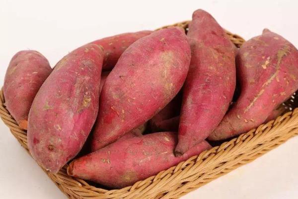 潮州家庭创业项目(适合在家创业的项目有什么？)