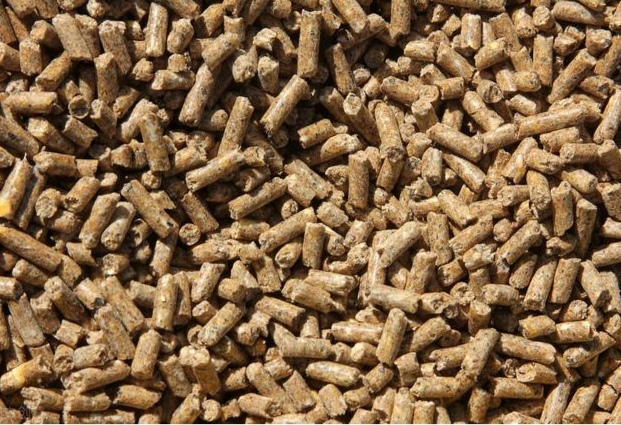 农村致富创业项目(如今农村有哪些致富的好项目呢？)