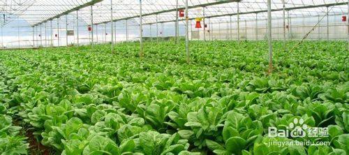 30万创业项目推荐(年收入20～30万的小生意有哪些？)