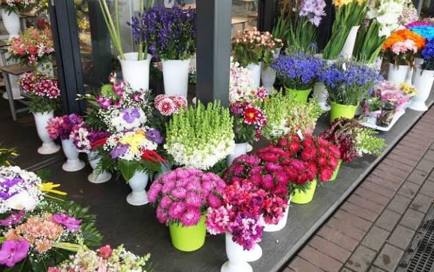 女生小本创业项目(适合女孩子创业的项目有哪些)