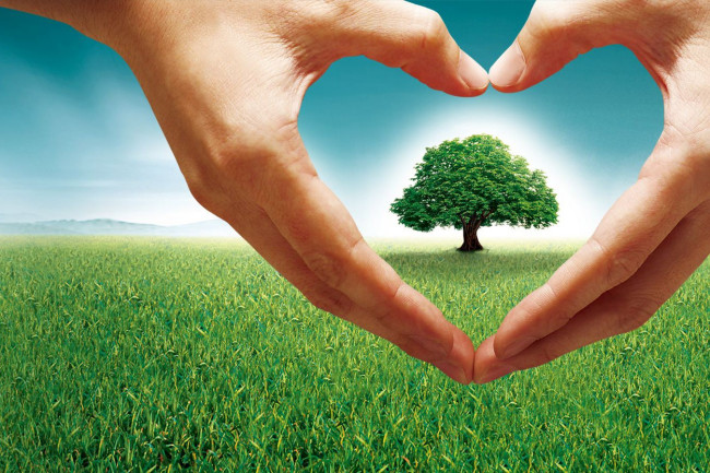 公益创业项目评选(求公益创业的好项目，好创意，好点子！)