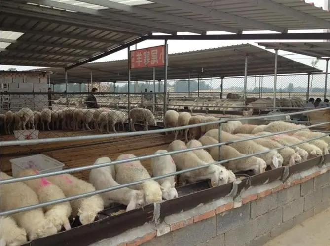 西藏创业项目(听说在西藏做生意非常赚钱，开个饭馆半年就可以挣50万是真的吗)