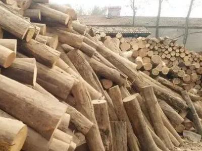 收木头创业项目(有人专门去农村收购旧木头，他们拿旧木头在做什么？)