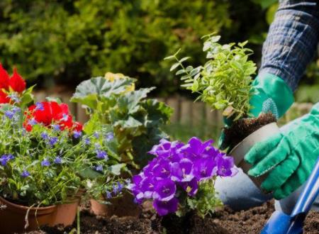 2015年加盟创业项目(适合小城市的创业项目)