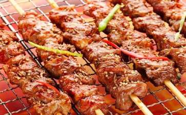 野营烧烤创业项目(开烧烤店创业计划书)