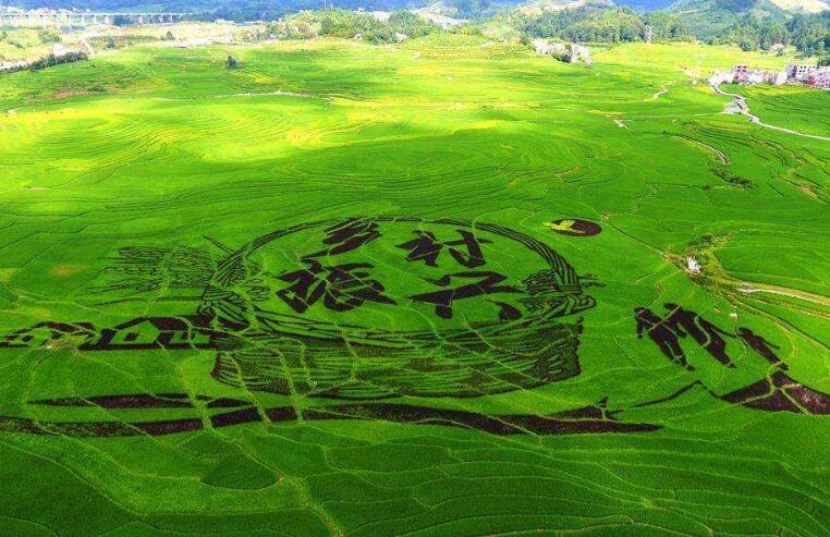 适合东北农村创业项目(东北农村创业选择什么项目好)