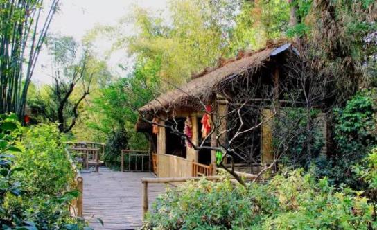 农业商机网创业项目(【干货】农村电商创业，这几个项目不得不看！)