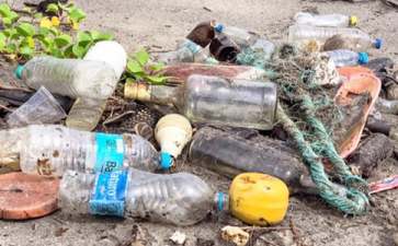 菏泽创业项目(农村创业项目：刺猬养殖)