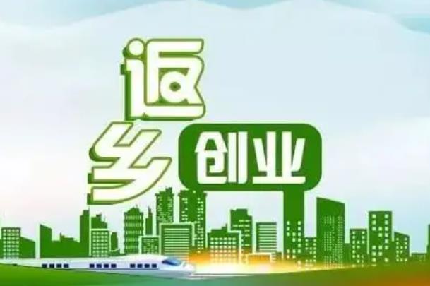 河南创业项目(河南农村创业致富项目)