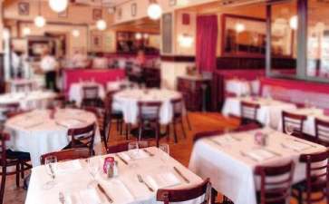 绿色创业项目概况(绿色餐饮店创业计划书怎么写)