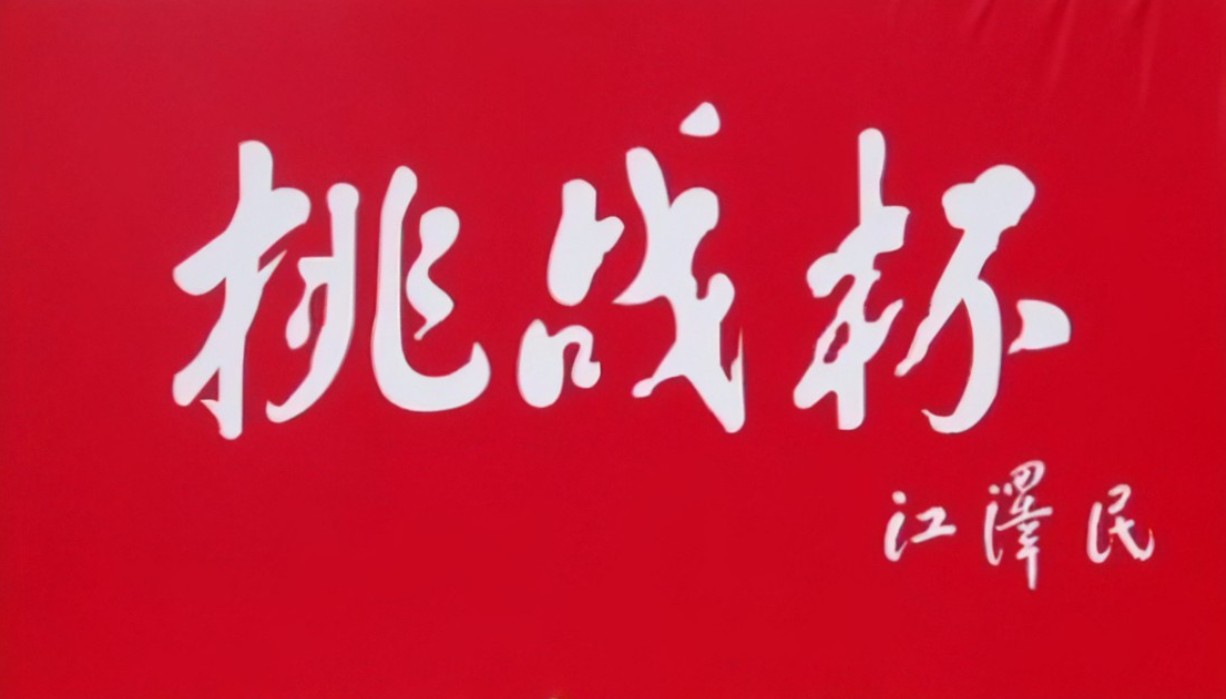 挑战杯创业项目(挑战杯创业计划书)