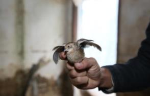 遵义创业项目(在遵义怎么样创业？开个服装店或者饭店需要哪些条件？)