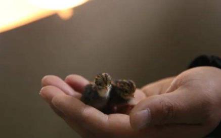 遵义创业项目(在遵义怎么样创业？开个服装店或者饭店需要哪些条件？)