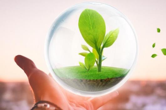 创业项目推荐药学(中药学专业的本科生能创业的项目有哪些)