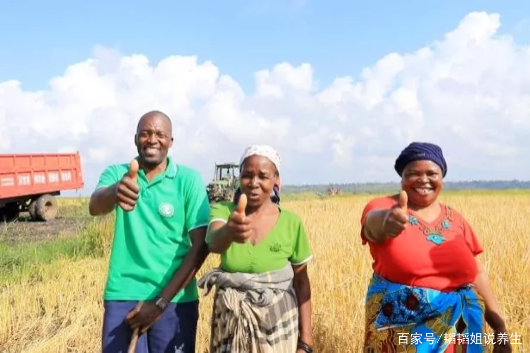 一带一路创业项目(粤港澳大湾区和一带一路项目有哪些)