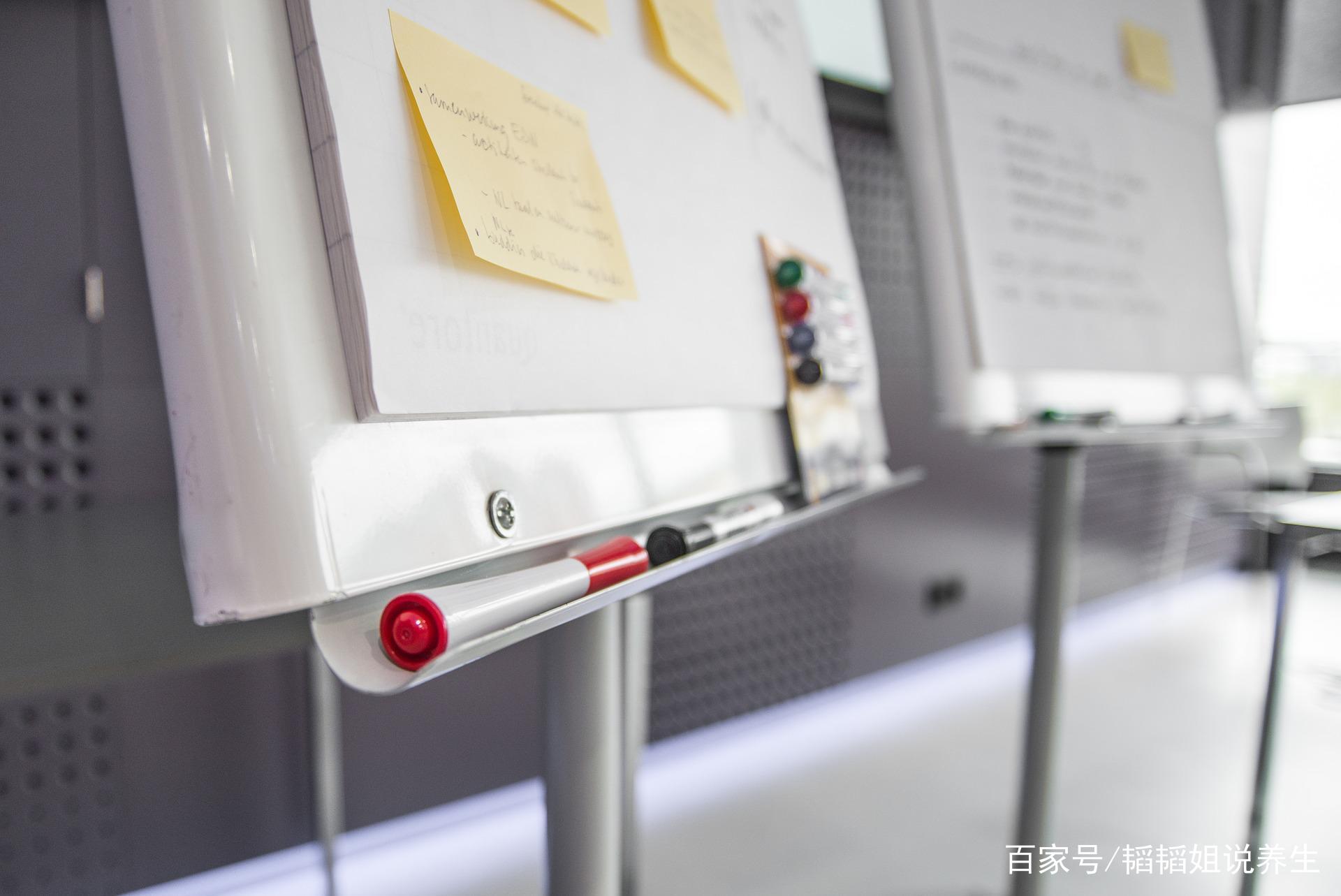 一带一路创业项目(粤港澳大湾区和一带一路项目有哪些)