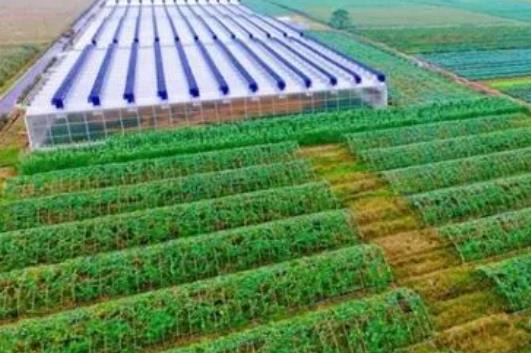 企业未来创业项目(30个有发展前景的创业项目)