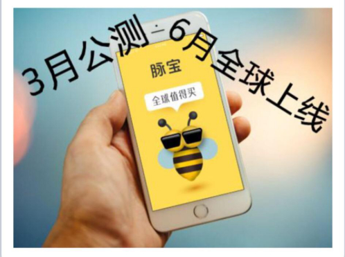 移动社群创业项目(不懂技术，如何进行移动互联网创业？)