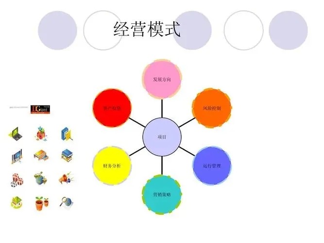创业项目运营(大学生创业平台运营模式的分析)