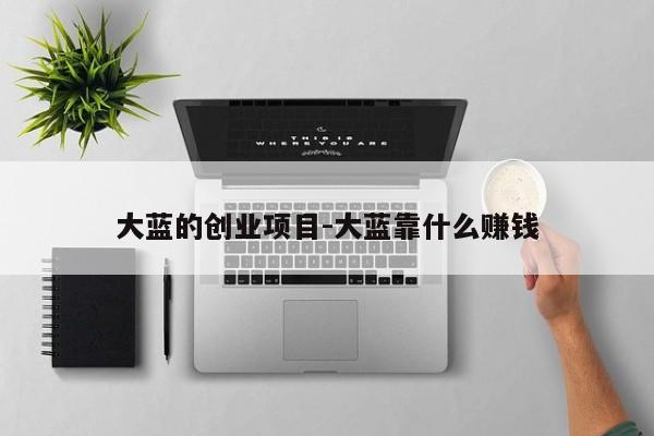 大蓝的创业项目-大蓝靠什么赚钱