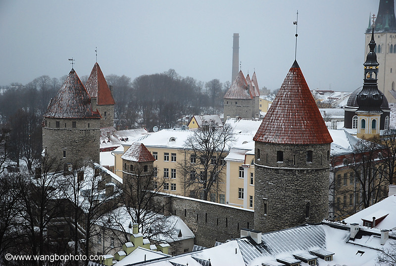 成都注册爱沙尼亚公司(成都注册爱沙尼亚公司条件) 成都注册爱沙尼亚公司(成都注册爱沙尼亚公司条件)