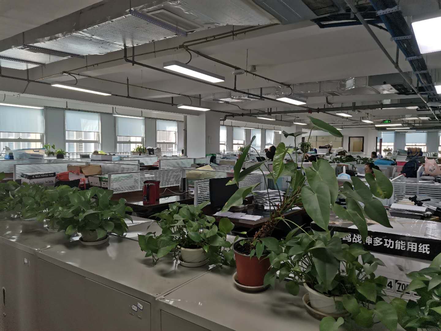 在成都金堂注册公司(在成都金堂注册公司多少钱) 在成都金堂注册公司(在成都金堂注册公司多少钱)