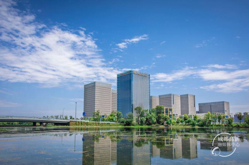 成都高新南区公司注册(成都高新区企业注册地址)