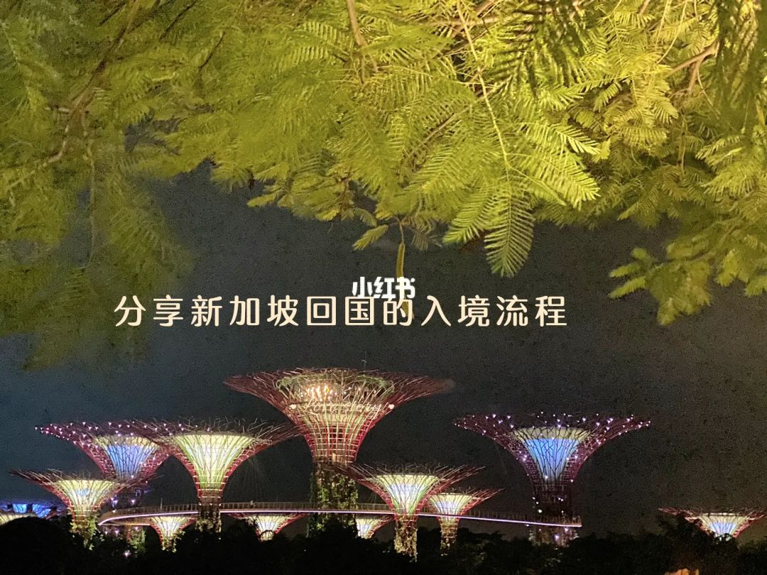 成都注册新加坡企业流程(如何在新加坡注册一家公司)