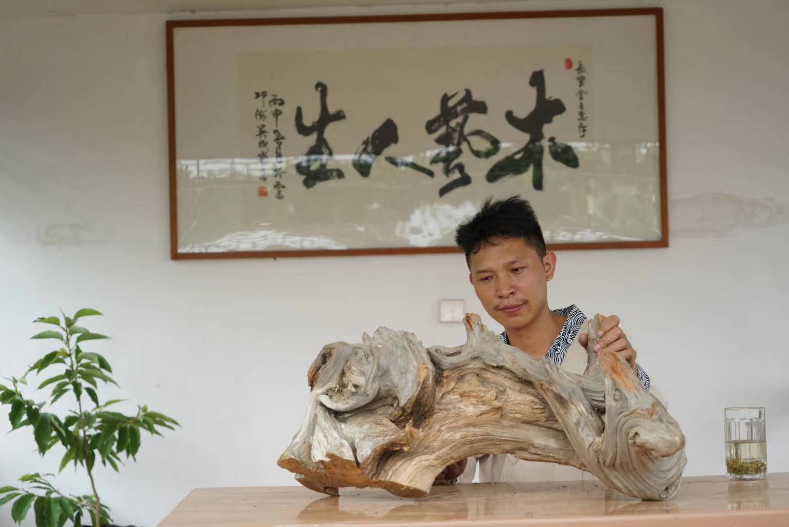 成都注册木雕公司费用(成都木雕工作室招聘信息)