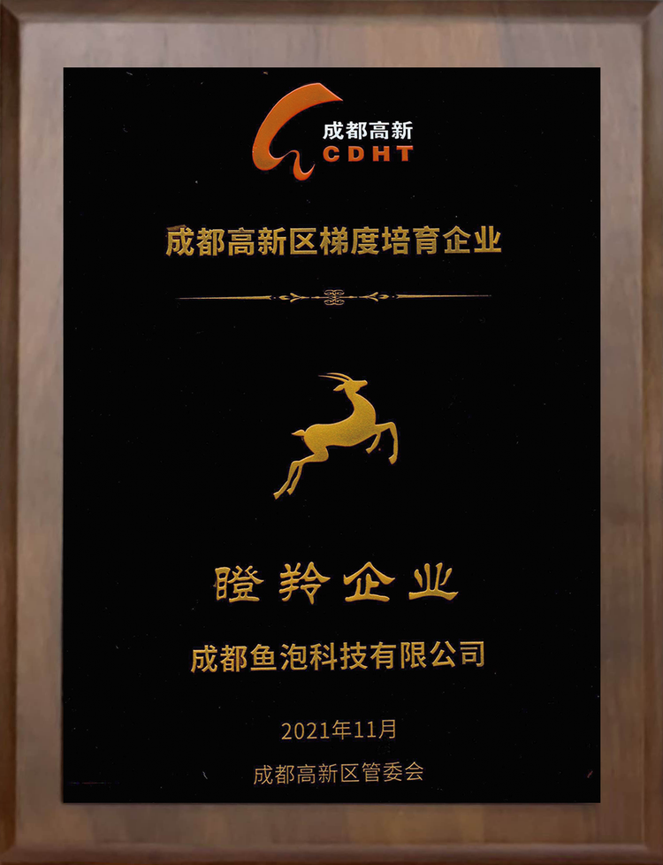 成都高新区虚拟注册公司(成都高新区虚拟注册公司有哪些)