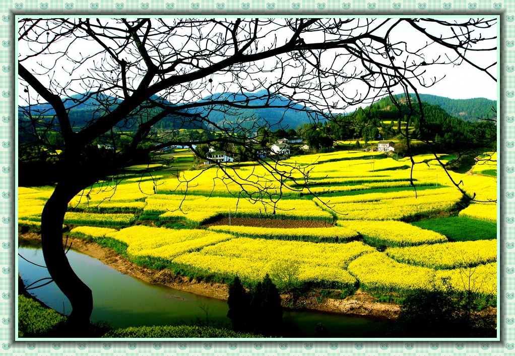 公司注册四川成都眉山盐亭(公司注册四川成都眉山盐亭怎么办理)