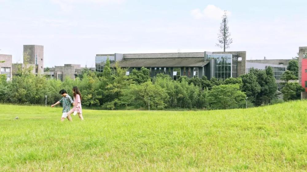 成都东软学院单位注册地(成都东软学院单位注册地在哪里)