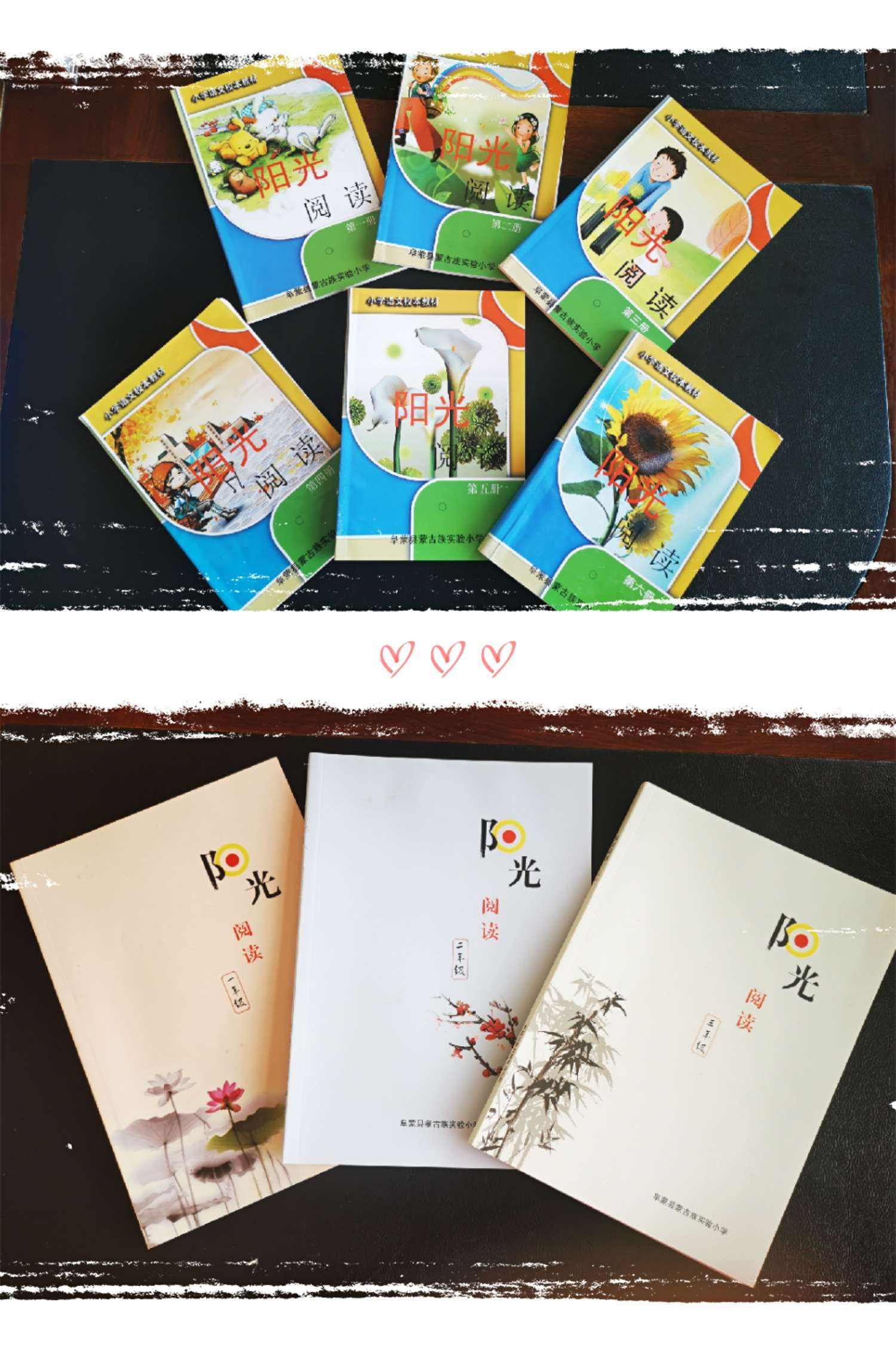 成都阳光阅读平台注册(四川省中小学阳光阅读平台注册)