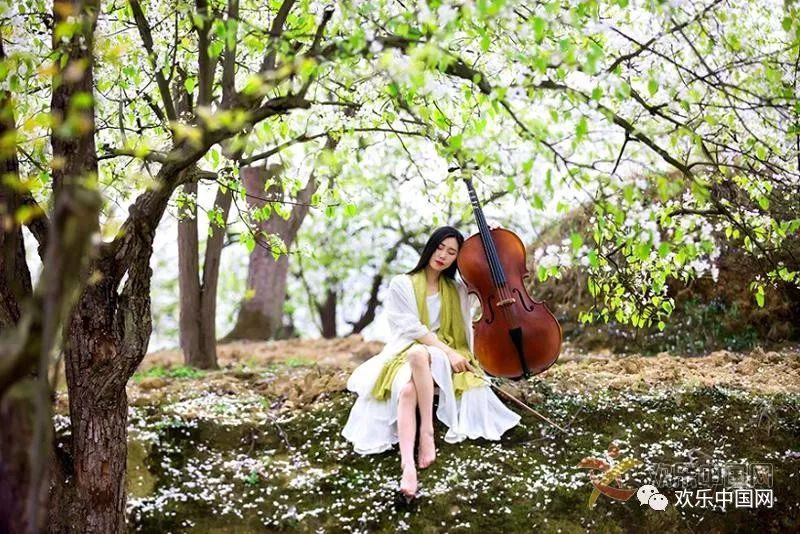 欢乐中国网成都注册(欢乐中国网成都注册地址) 欢乐中国网成都注册(欢乐中国网成都注册地址)